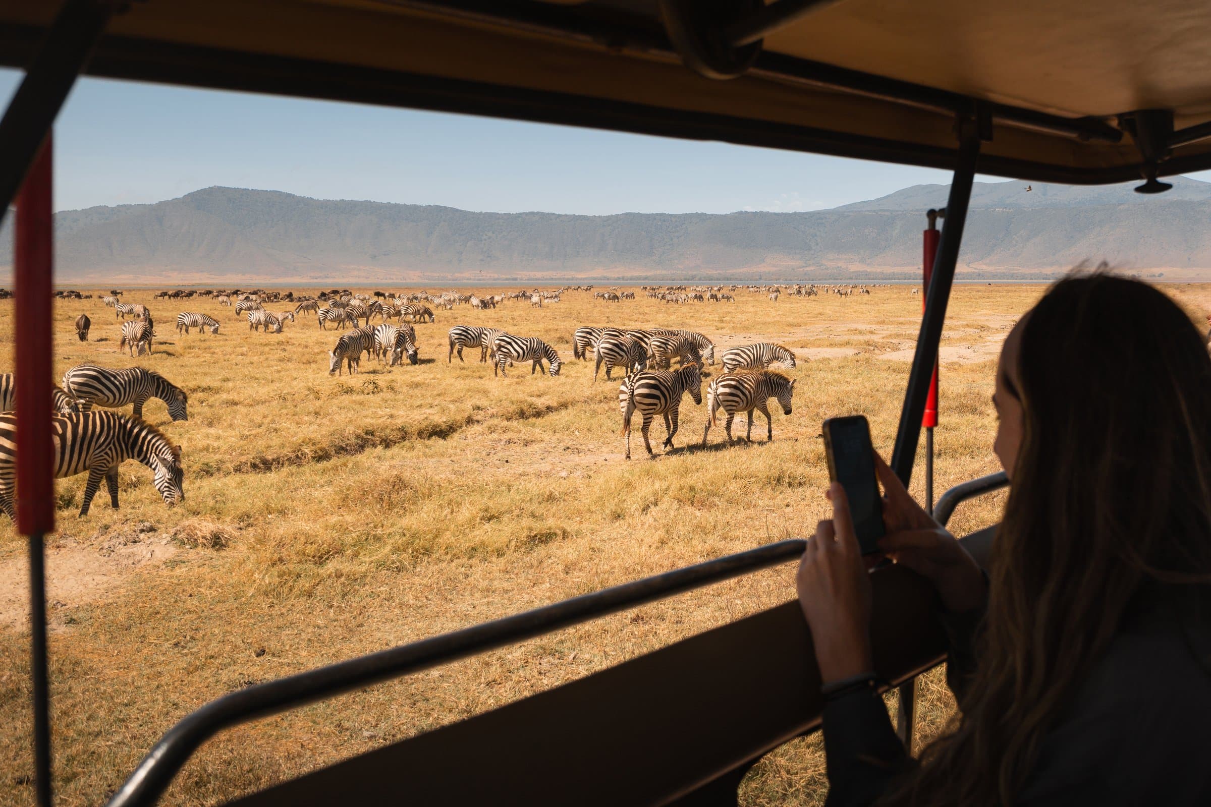 Ihr persönlicher Safari Companion