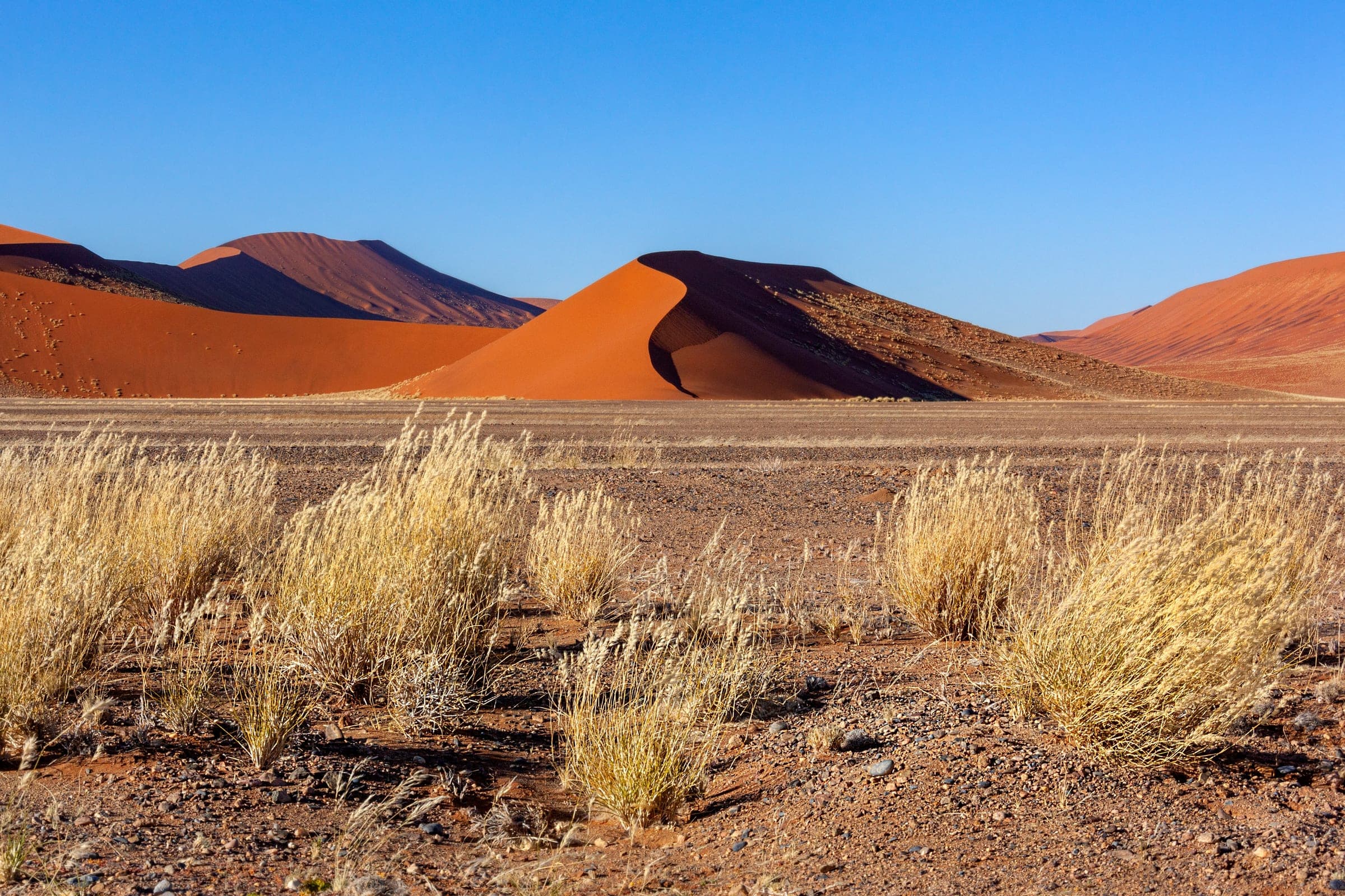 Rote Dünen des Sossusvlei bei Sonnenaufgang