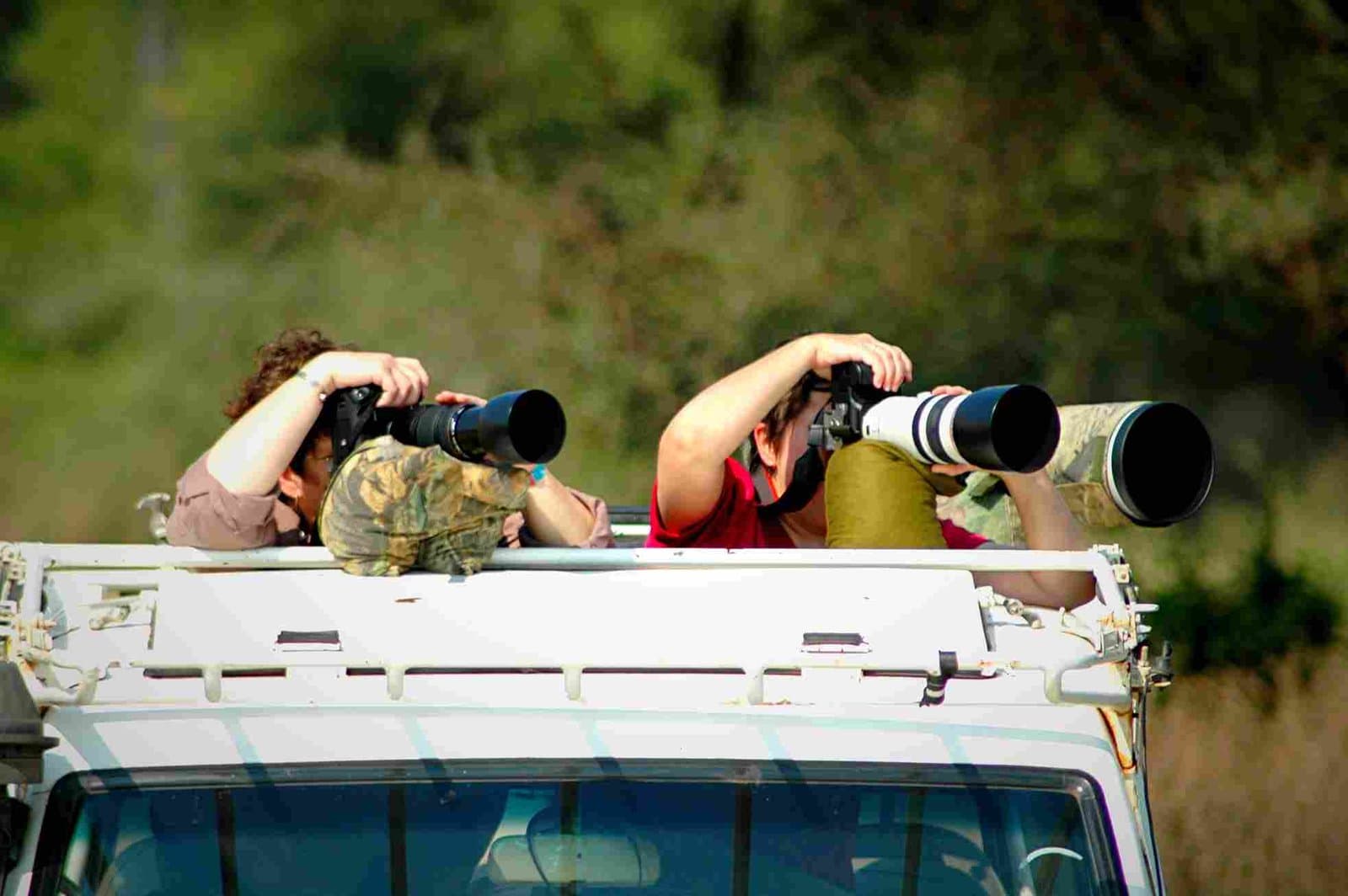 Vogelparadies & Fotografie