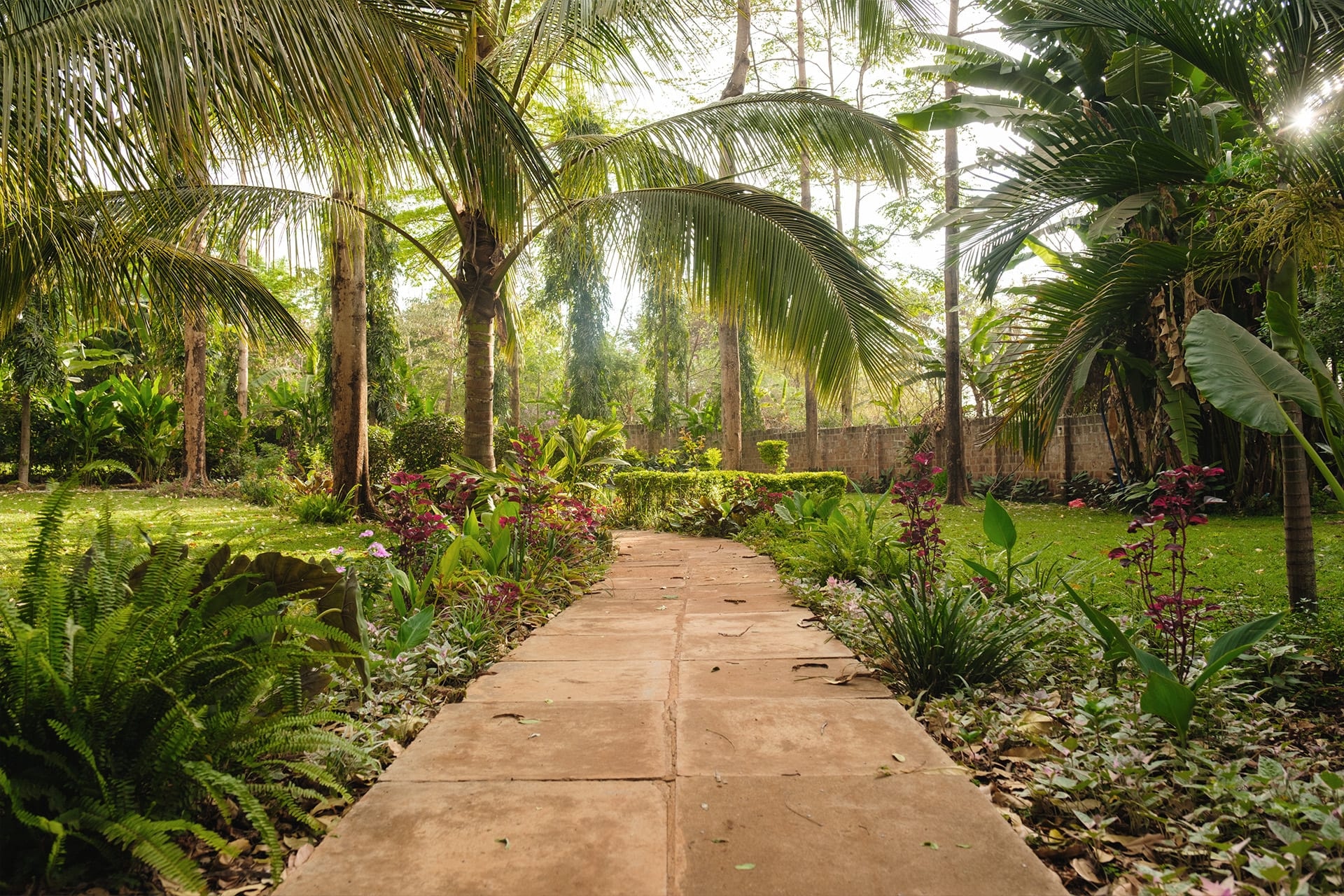 Chanya Lodge – Bild 3