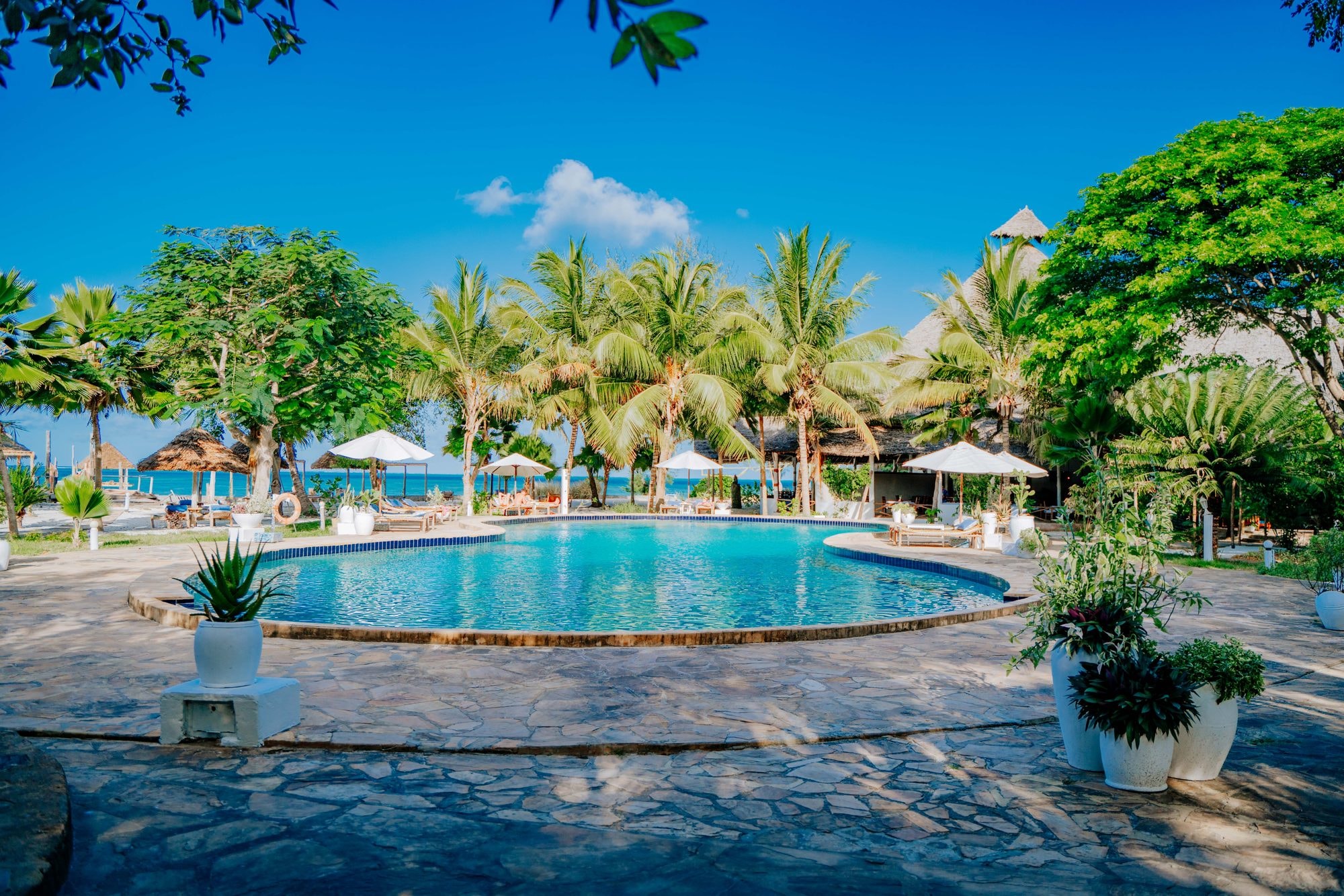 Spice Island Hotel & Resort – Bild 3