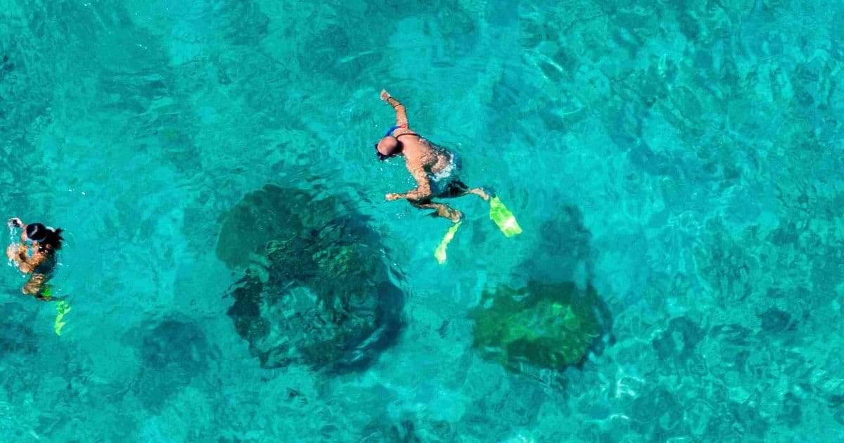 Schnorchler mit Flossen von oben über Korallenstöcken in türkisfarbenem Wasser