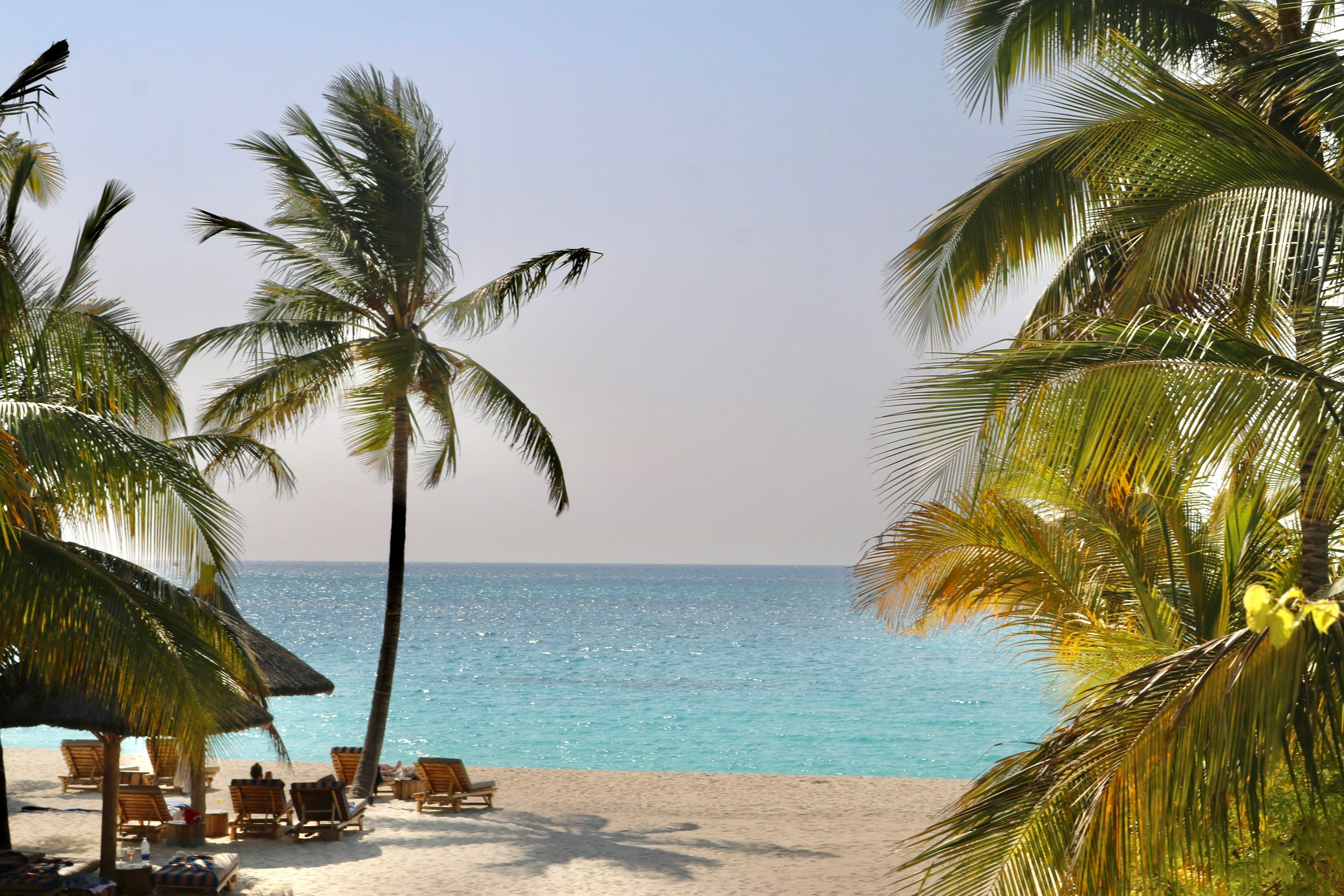 Beste Reisezeit für Sansibar – Wetter, Regionen und Empfehlungen für jeden Monat