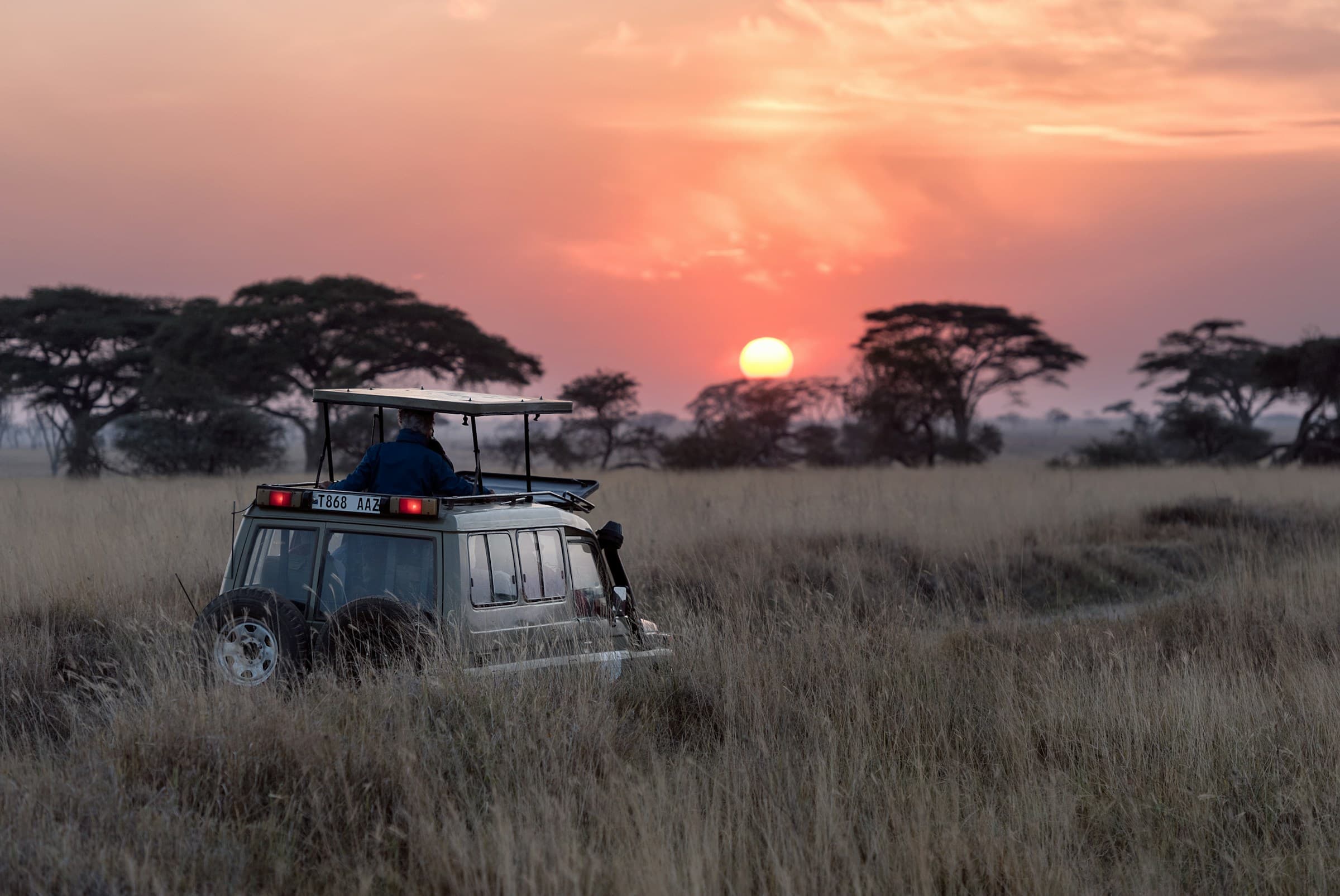 Reisende in leicht geschichteter Safari-Kleidung bei einer frühen Pirschfahrt