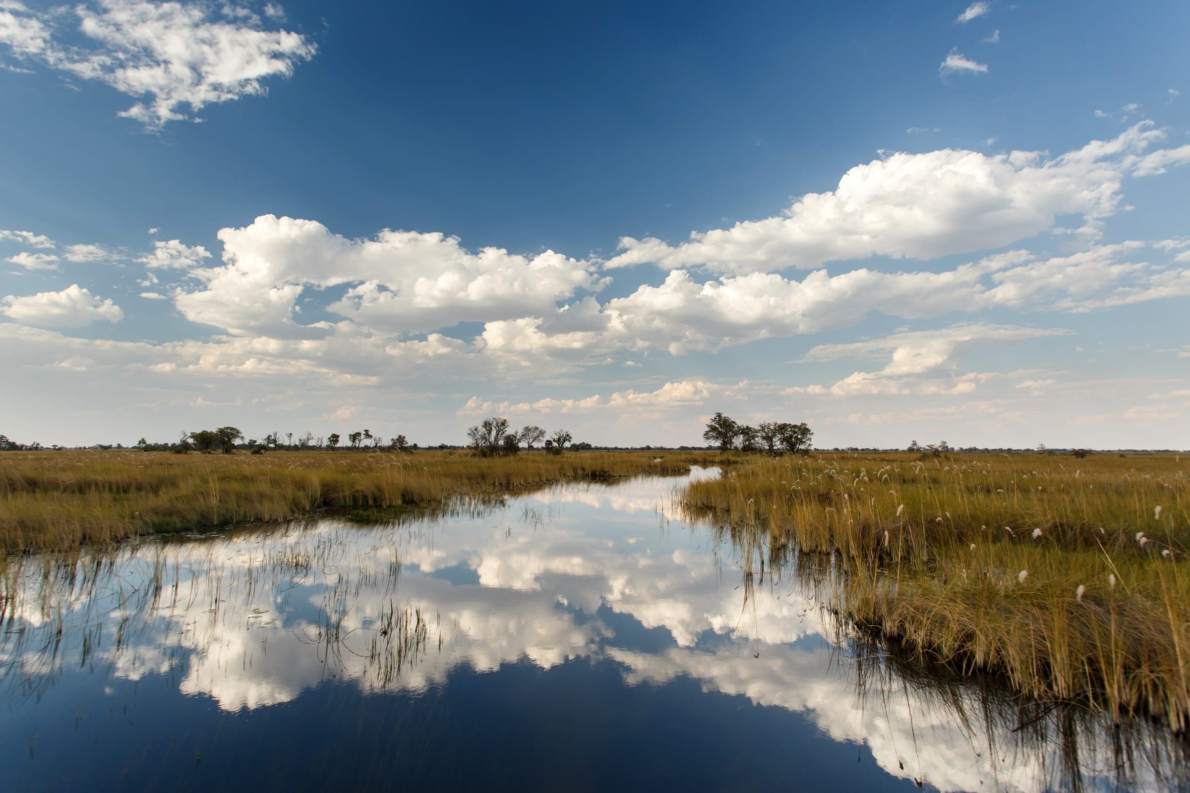 Luxus Lodges und Camps in Botswana – handverlesene Unterkünfte für Safari-Reisen