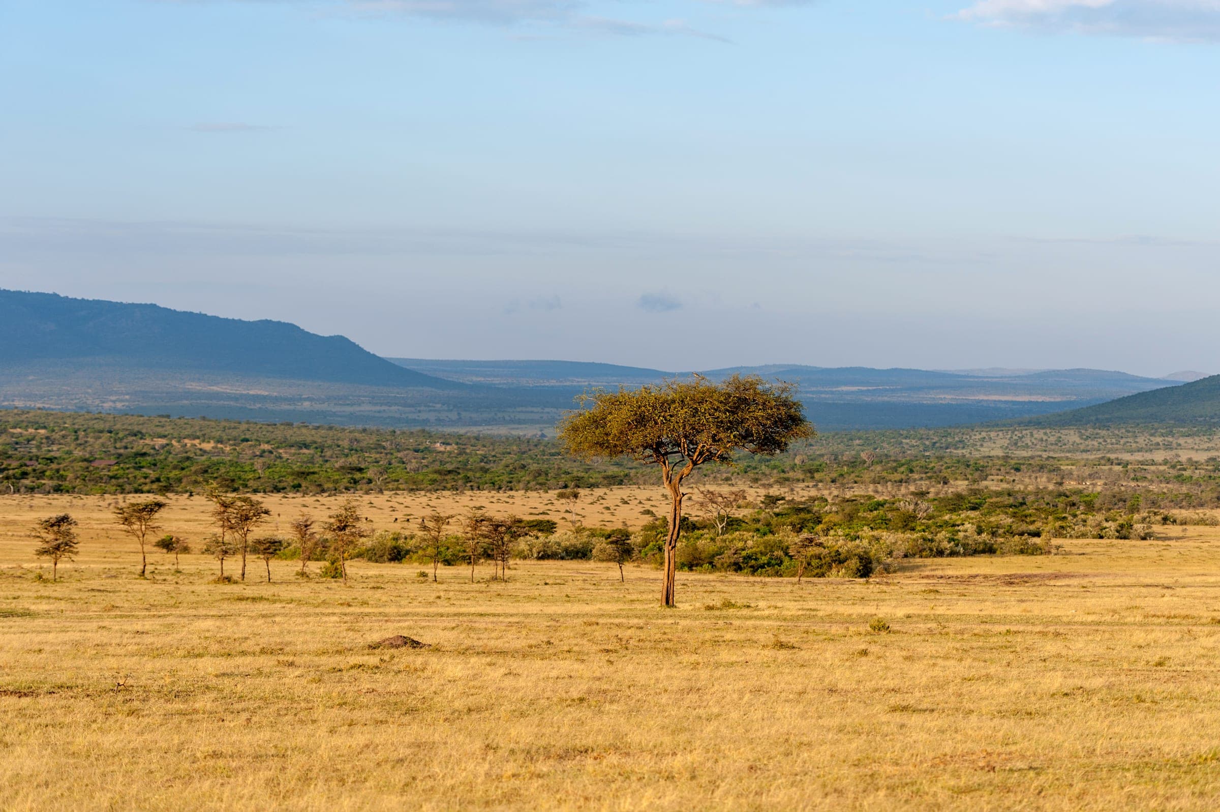 Luxus Lodges und Camps in Kenia – handverlesene Unterkünfte für Safari-Reisen