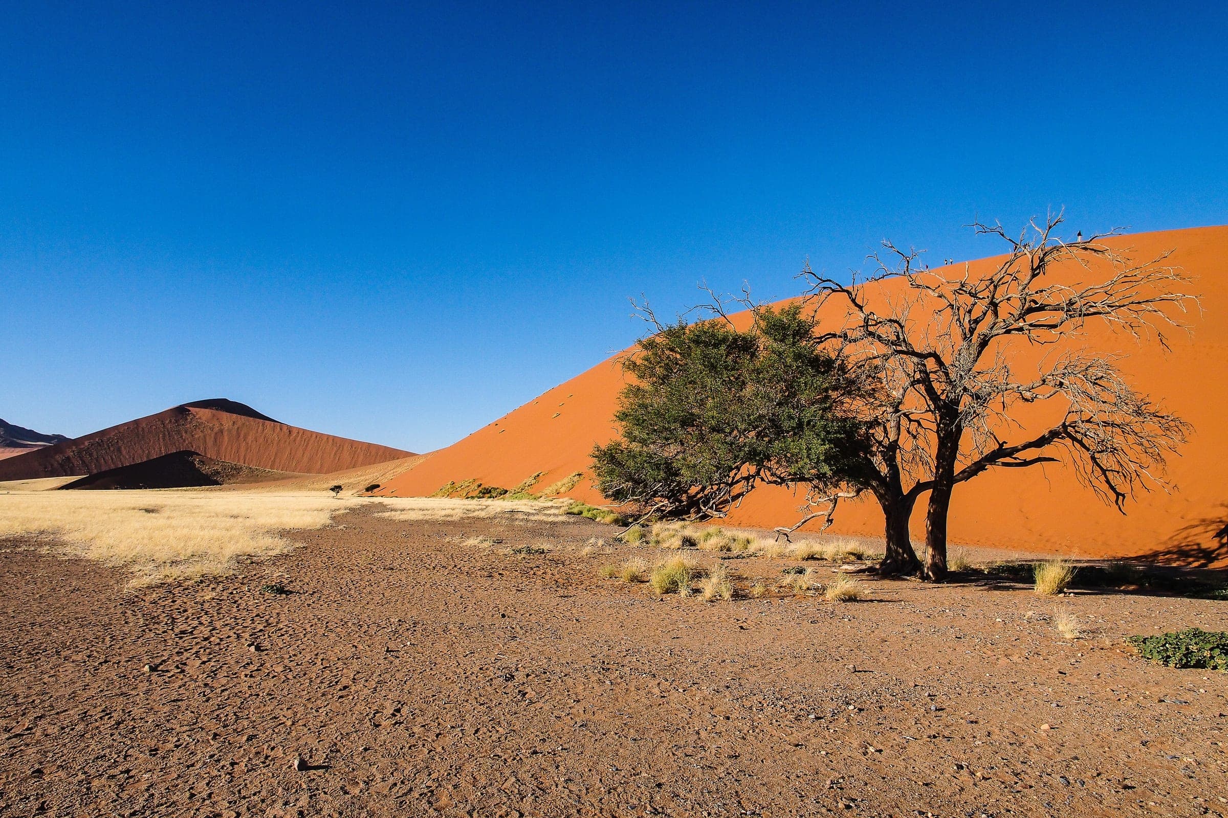 Luxus Lodges und Camps in Namibia – handverlesene Unterkünfte für Safari-Reisen