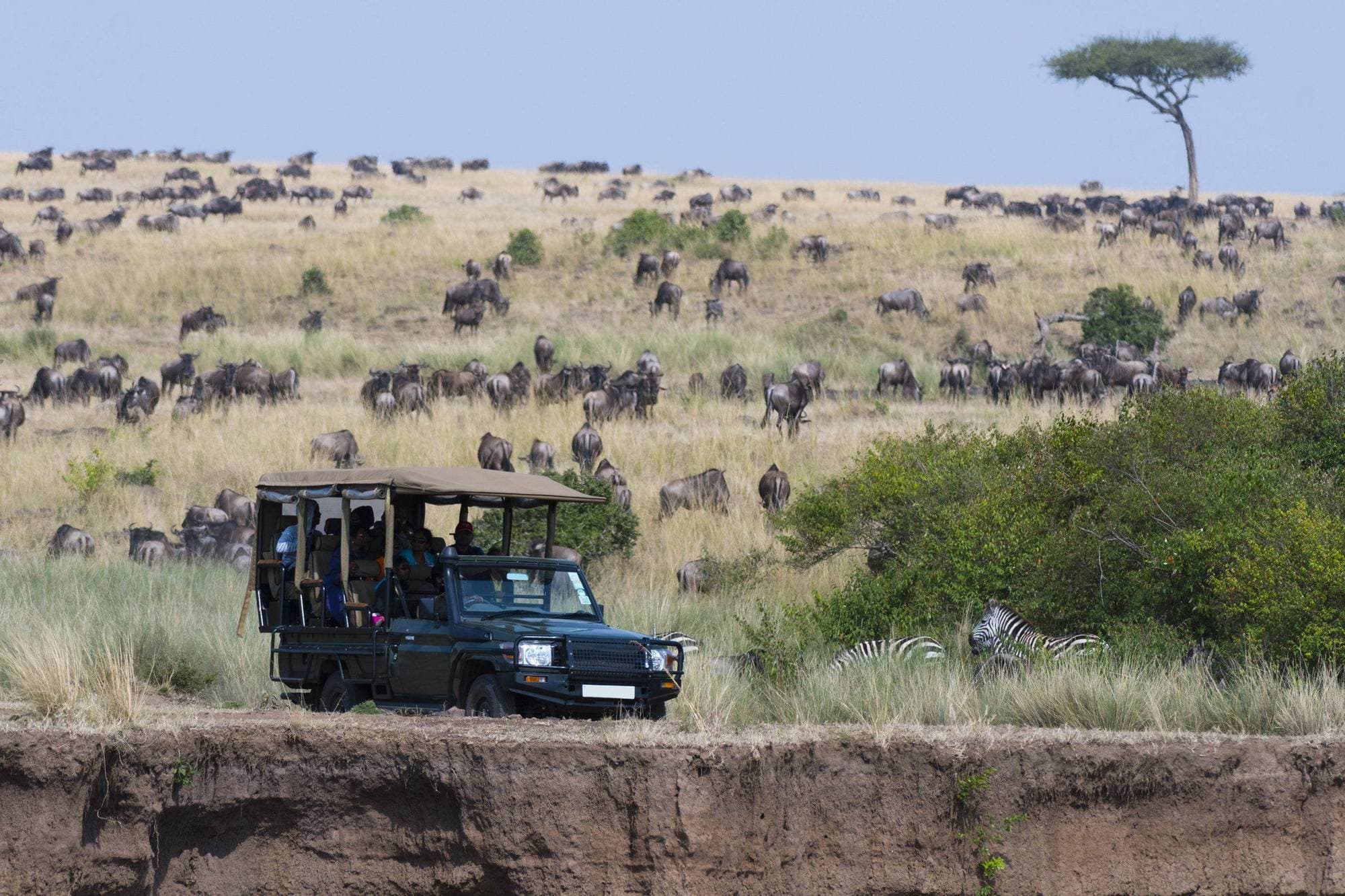 Kenia – 11 Tage Premium Safari mit Massai Mara & Diani Beach