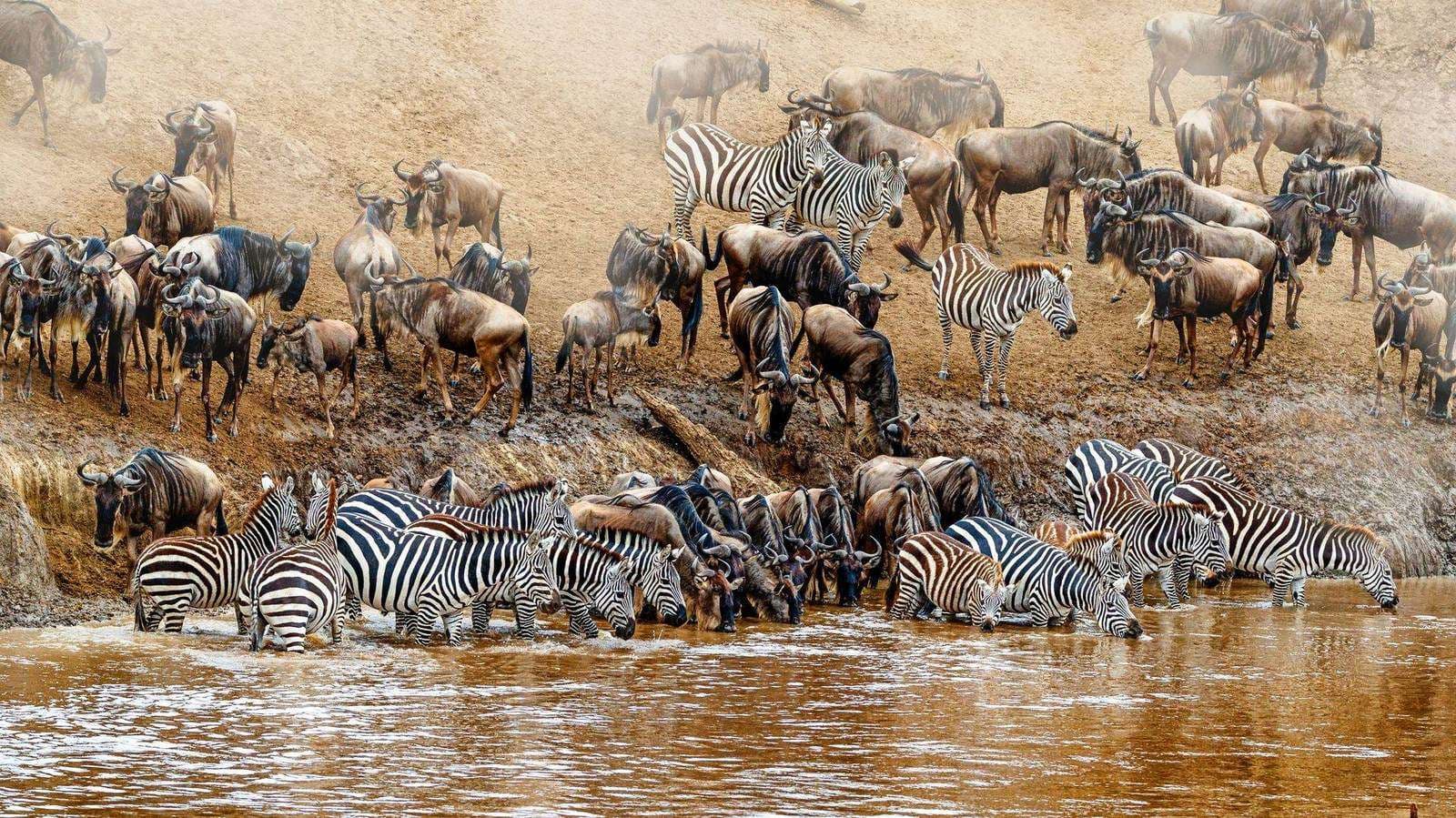 Nördliche Serengeti nahe Kogatende mit Blick auf den Mara-Fluss
