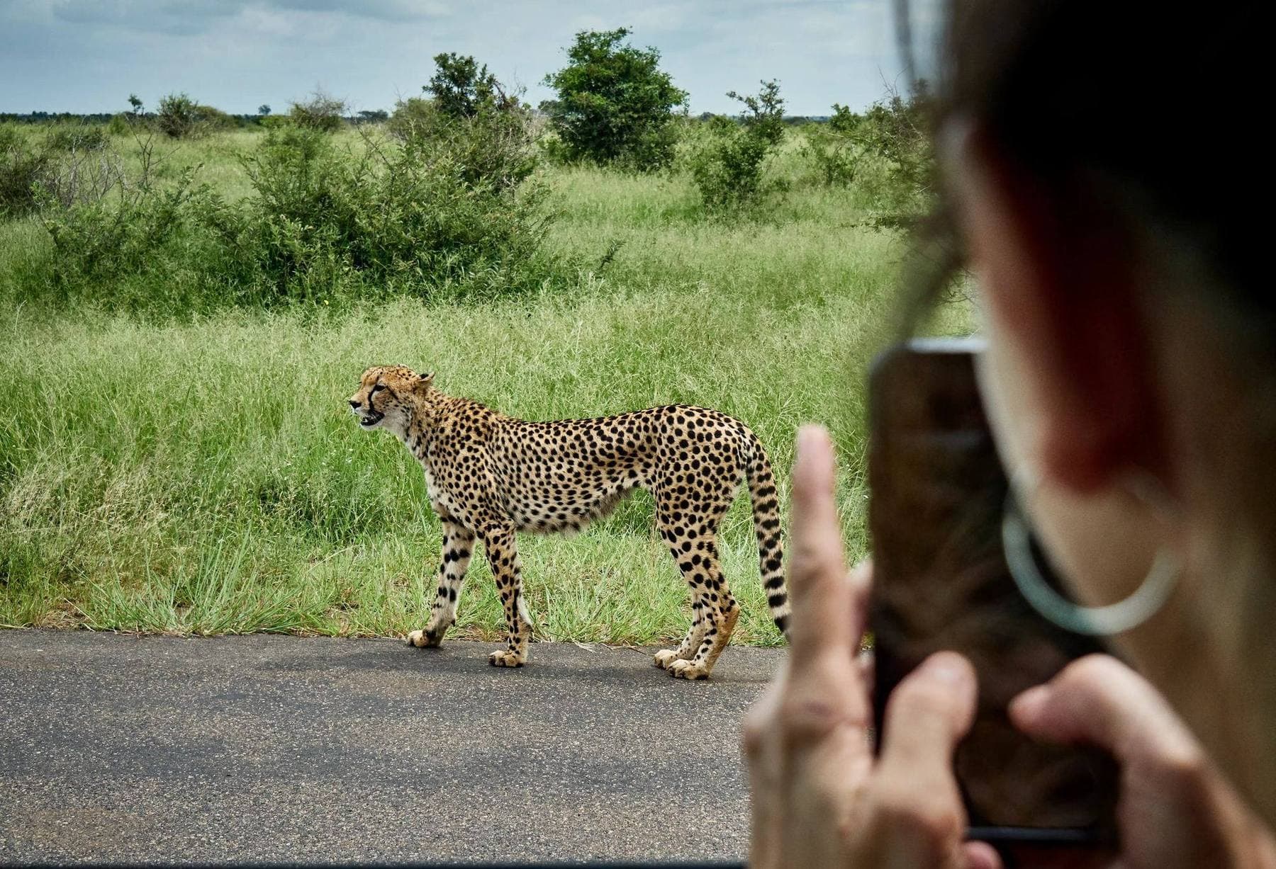 12 Tage Camping-Safari in Tansania und Sansibar