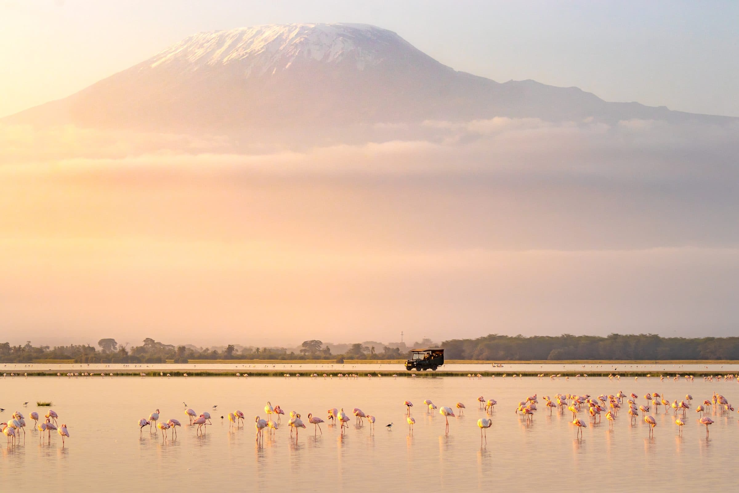 Amboseli Savanne mit Kilimandscharo und Flamingos – Ostafrika Safari