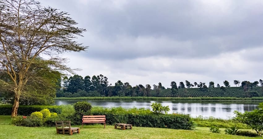 Ngurdoto-Krater im Arusha-Nationalpark mit Blick auf die bewaldeten Kraterwände