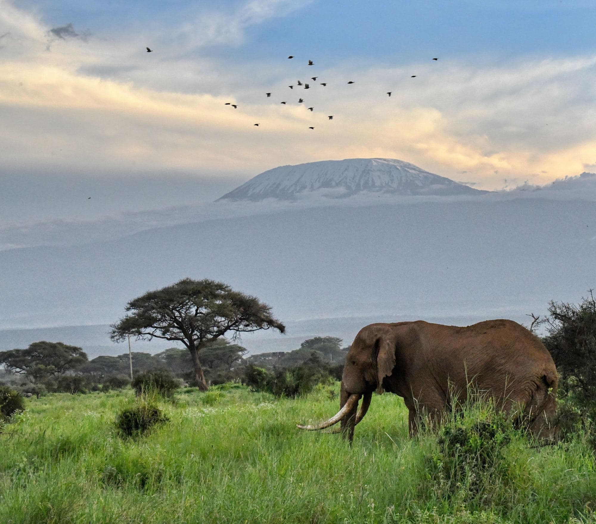 13 Tage Kilimandscharo-Safari in Tansania