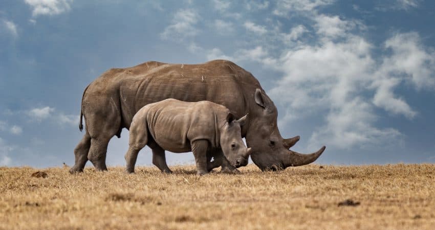 Big Five Beobachtungen