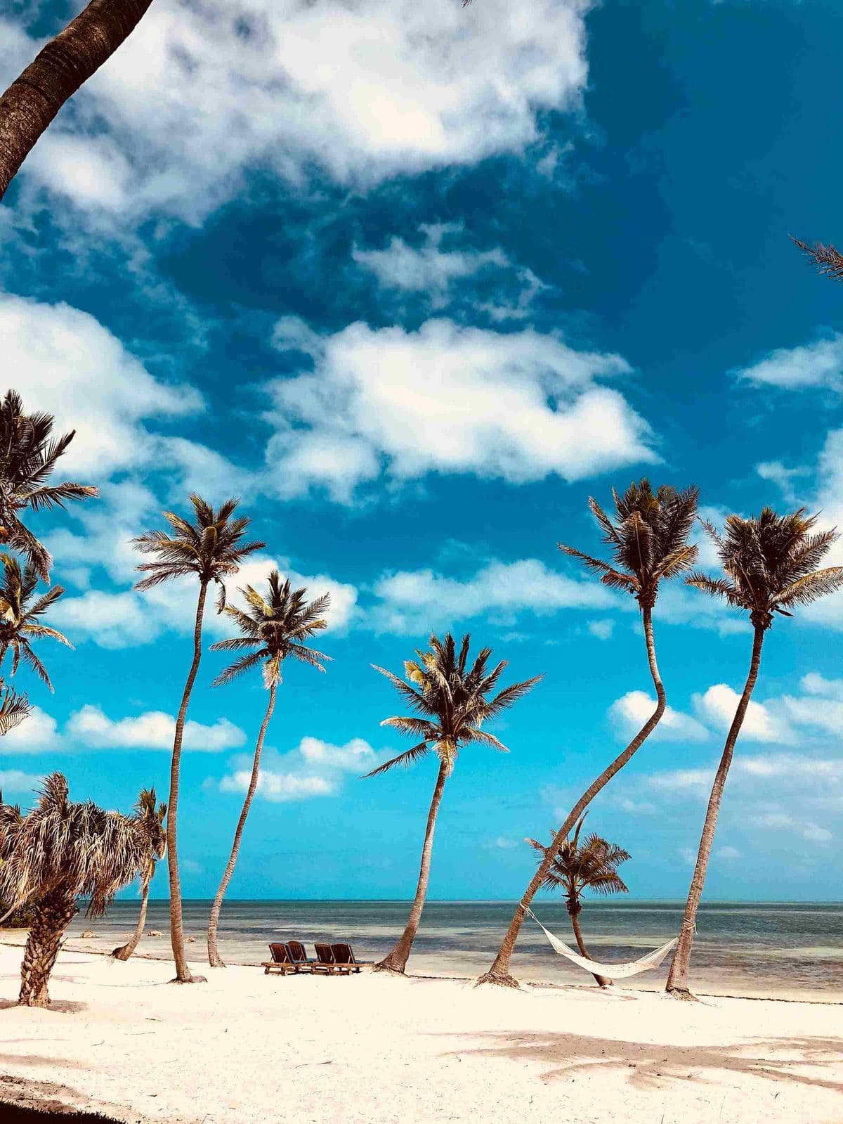 Diani Beach mit türkisfarbenem Indischen Ozean und Palmen, Kenia – einer der schönsten Strände Afrikas südlich von Mombasa