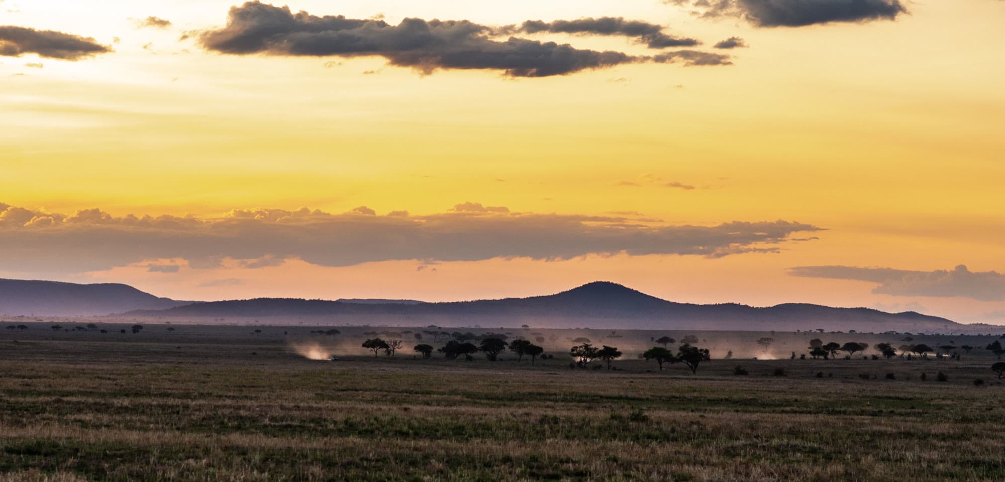 15 Tage Love on Safari und Sansibar