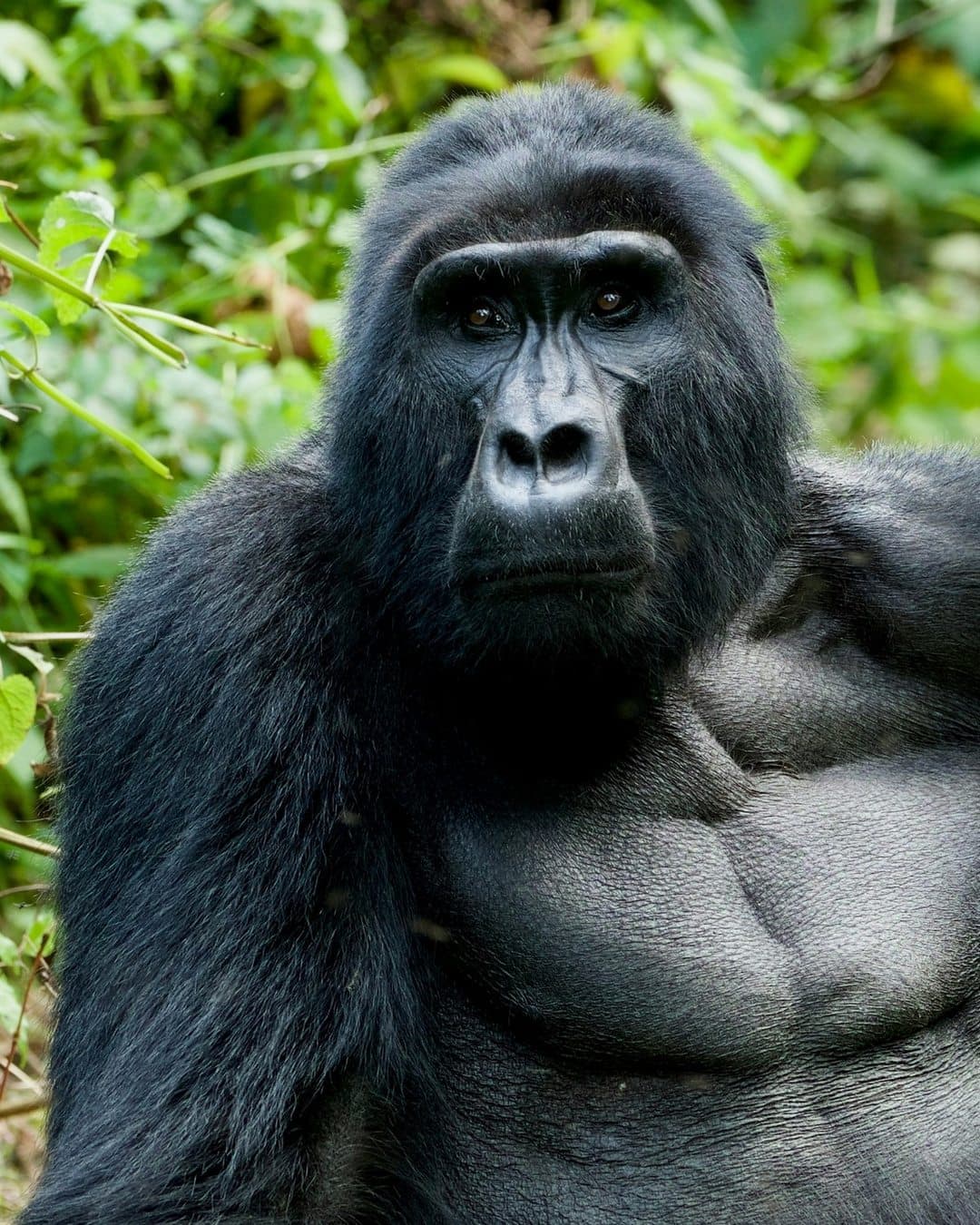 Uganda