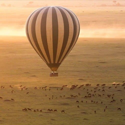 Löwen in der Serengeti — unvergessliche Safari in Tansania