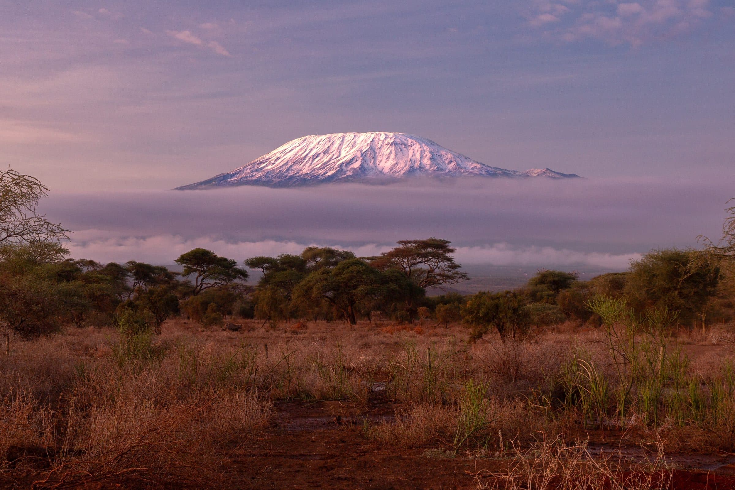 Schneebedeckter Kibo-Gipfel des Kilimandscharo über der Savanne von Amboseli in Kenia im Morgenlicht