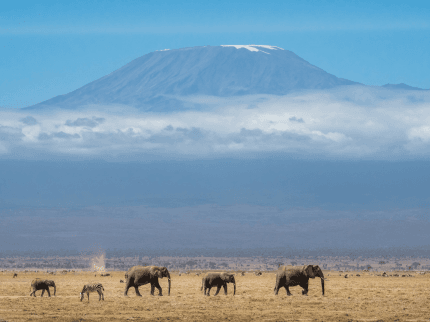 Schneebedeckter Gipfel des Kilimandscharo – höchster Berg Afrikas bei Sonnenaufgang