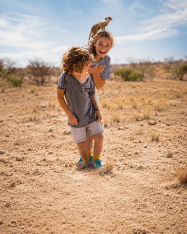 Familien Safari in Tansania