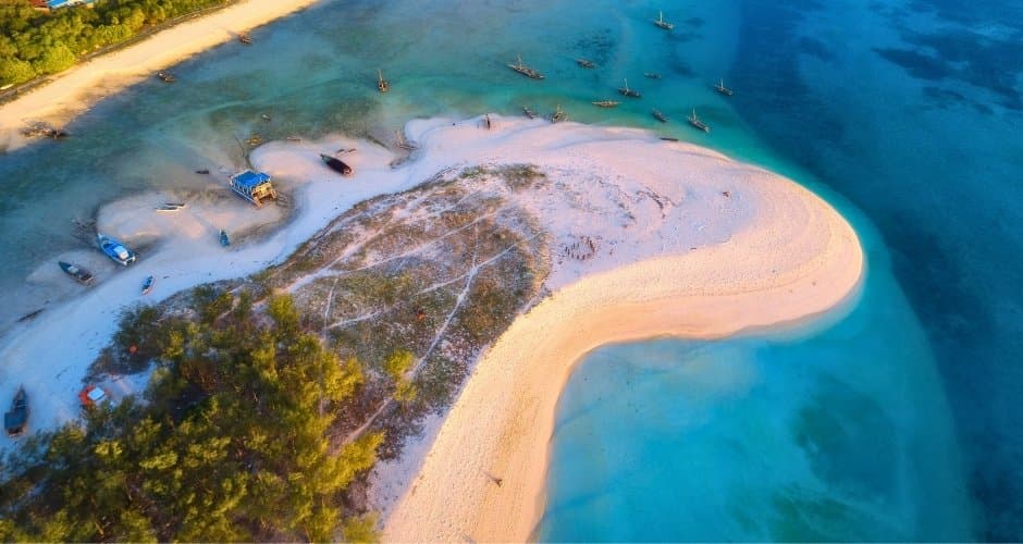 Korallenriff im Mafia Island Marine Park