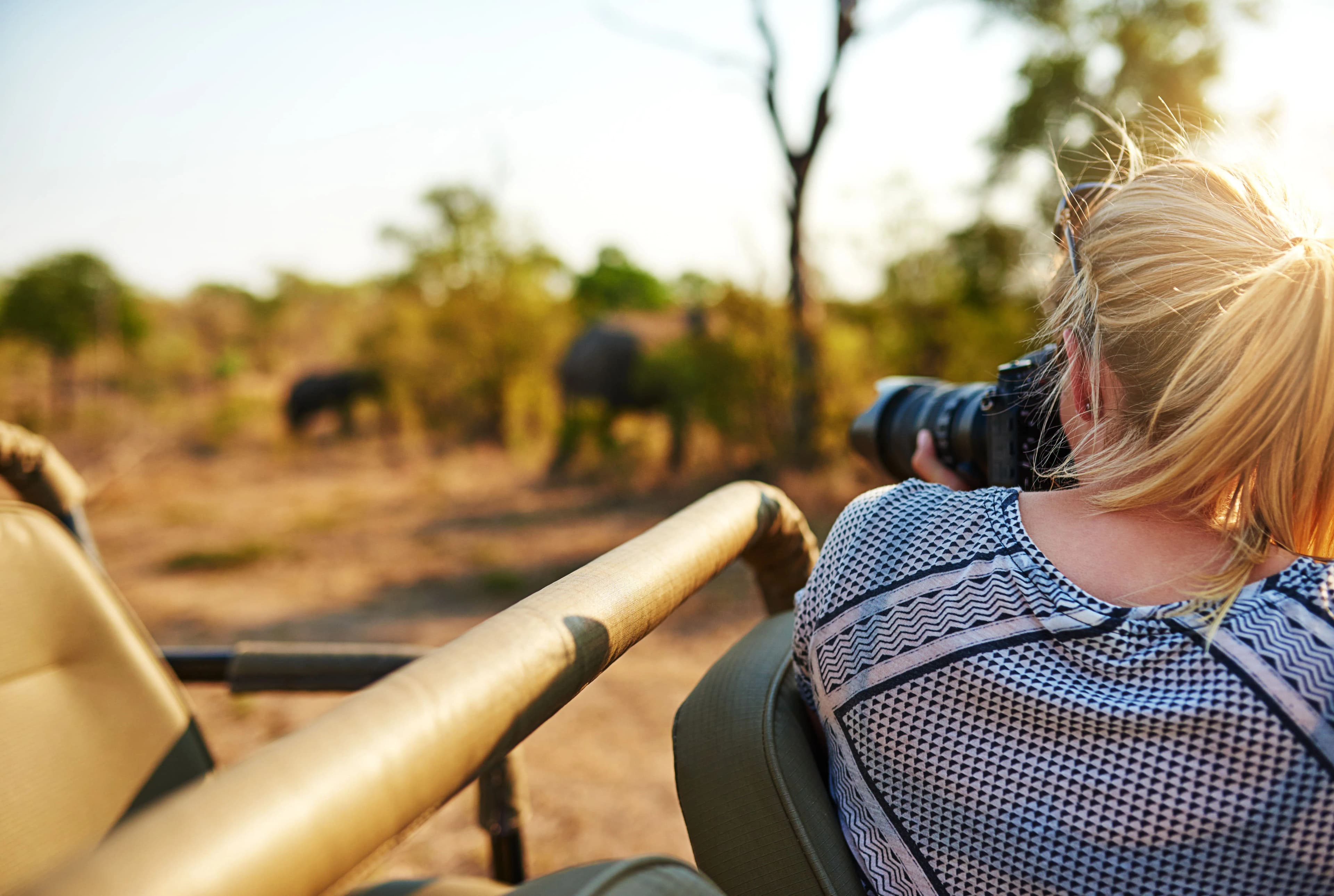 Tansania Safari