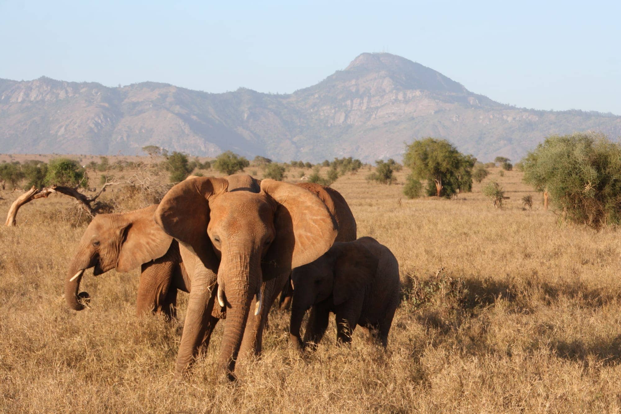 TAITA HILLS & ABREISE