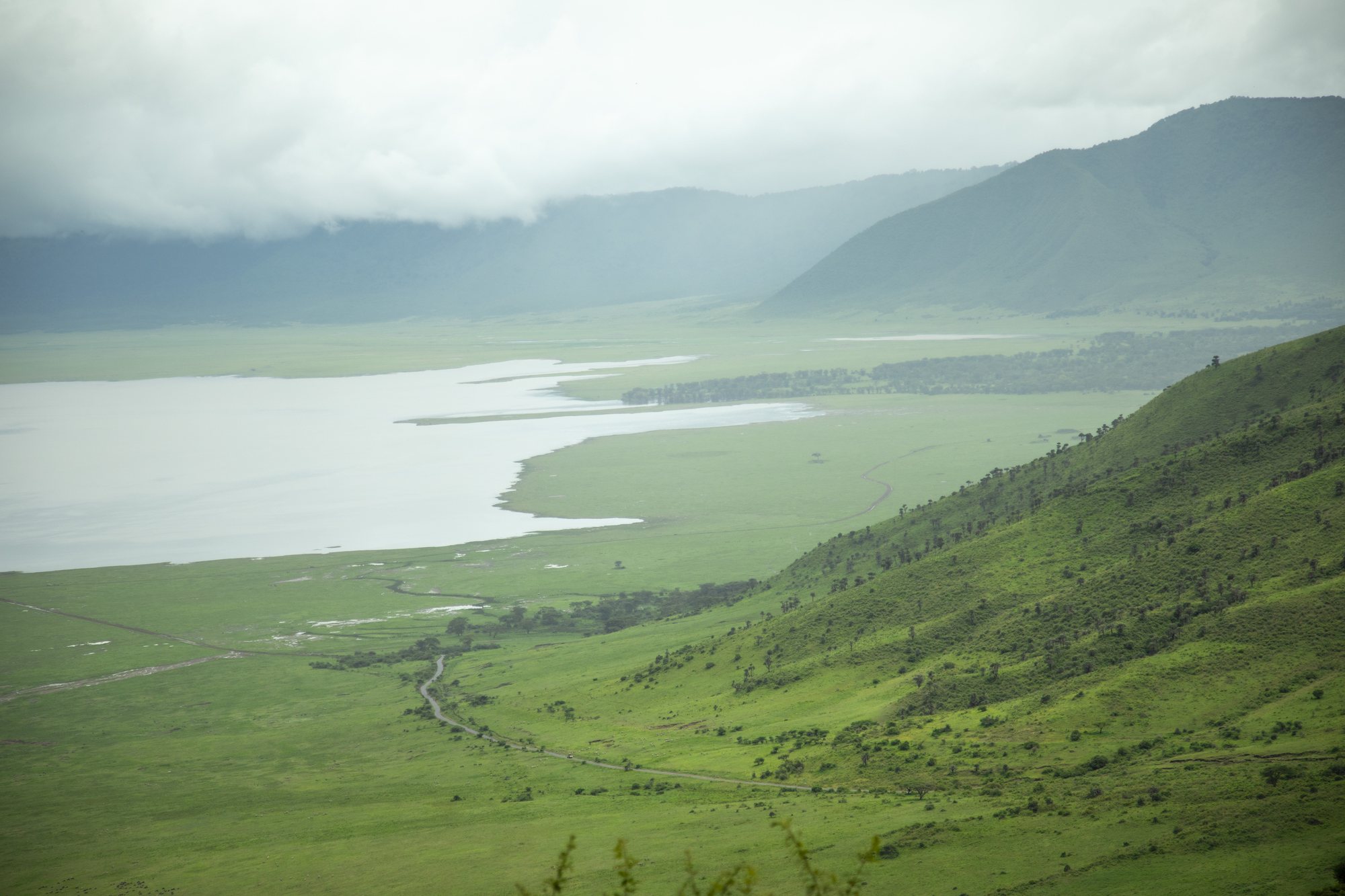Panoramablick über den grünen Ngorongoro Krater mit Kratersee, Tansania