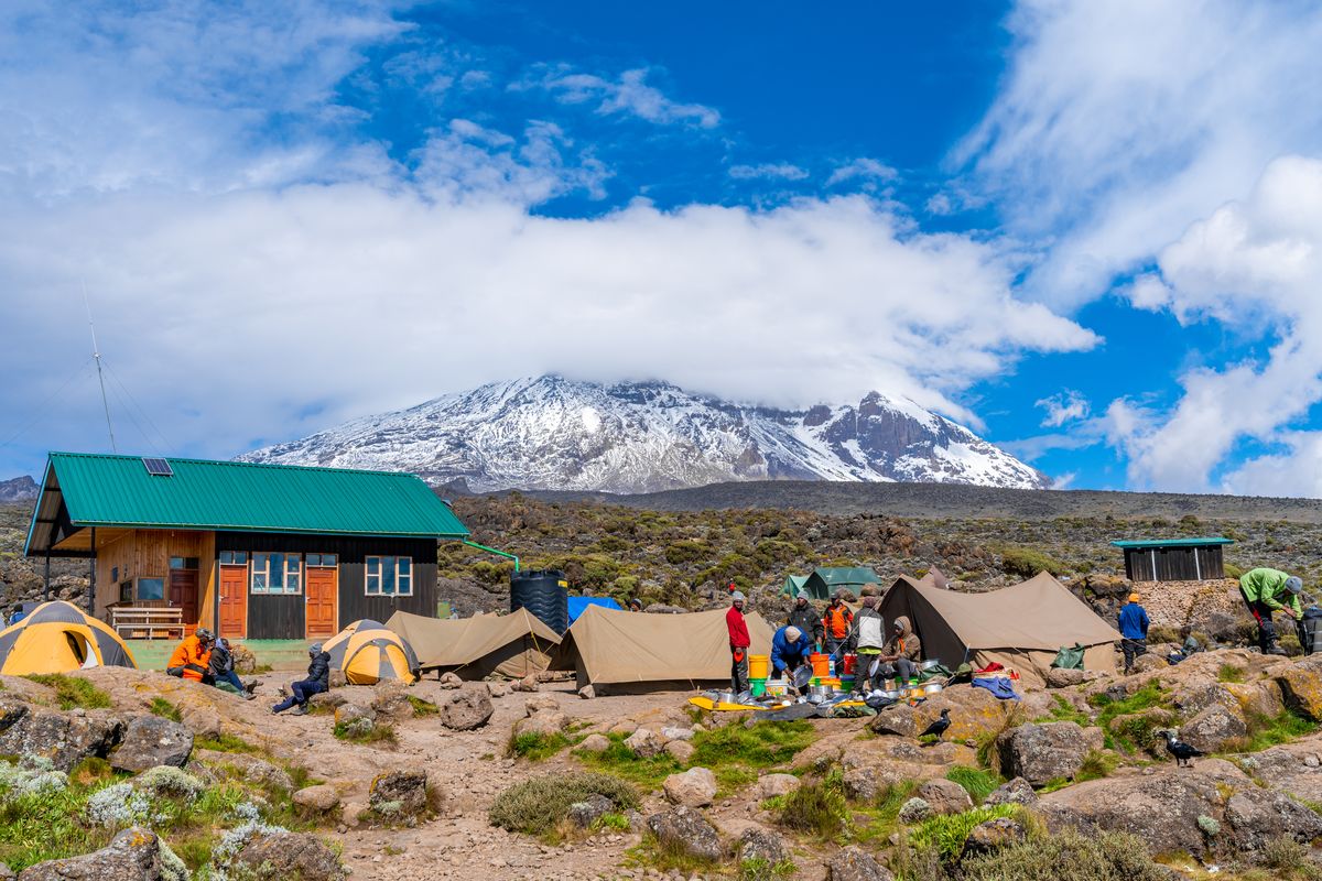 Mti Mkubwa → Shira Plateau Camp 1