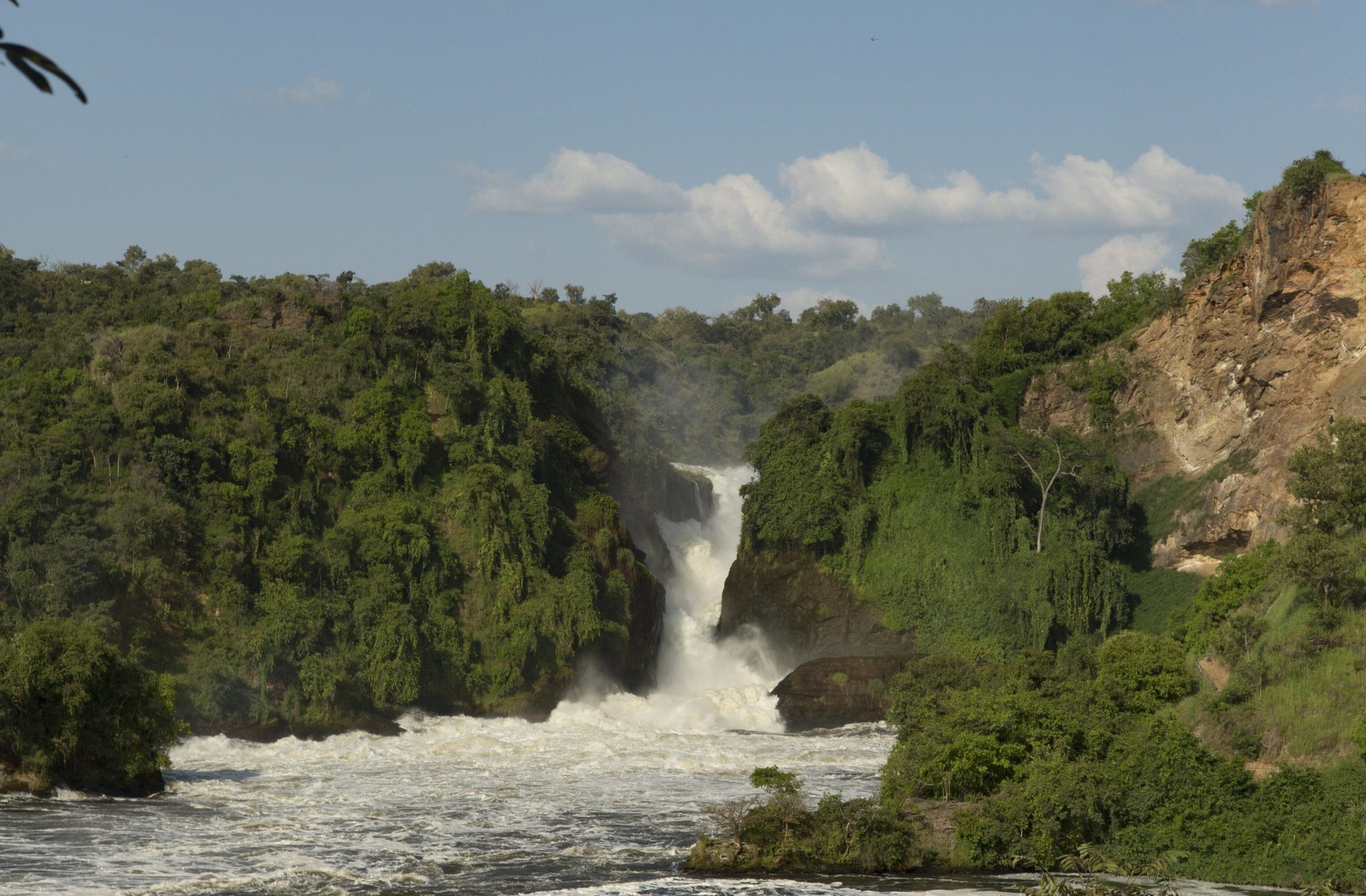 Pirschfahrt & Bootssafari zu den Murchison Falls
