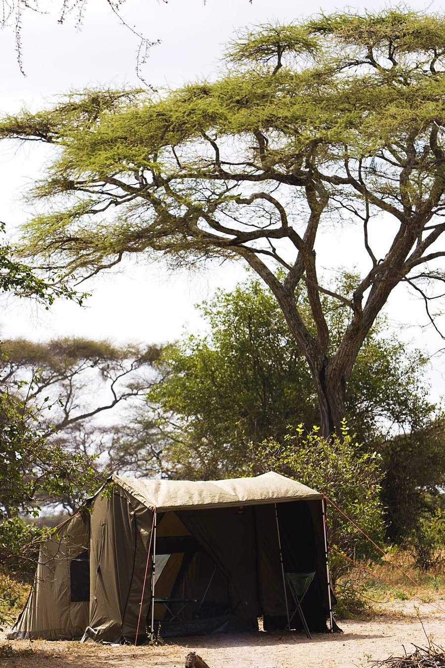 CAMPING SAFARI
