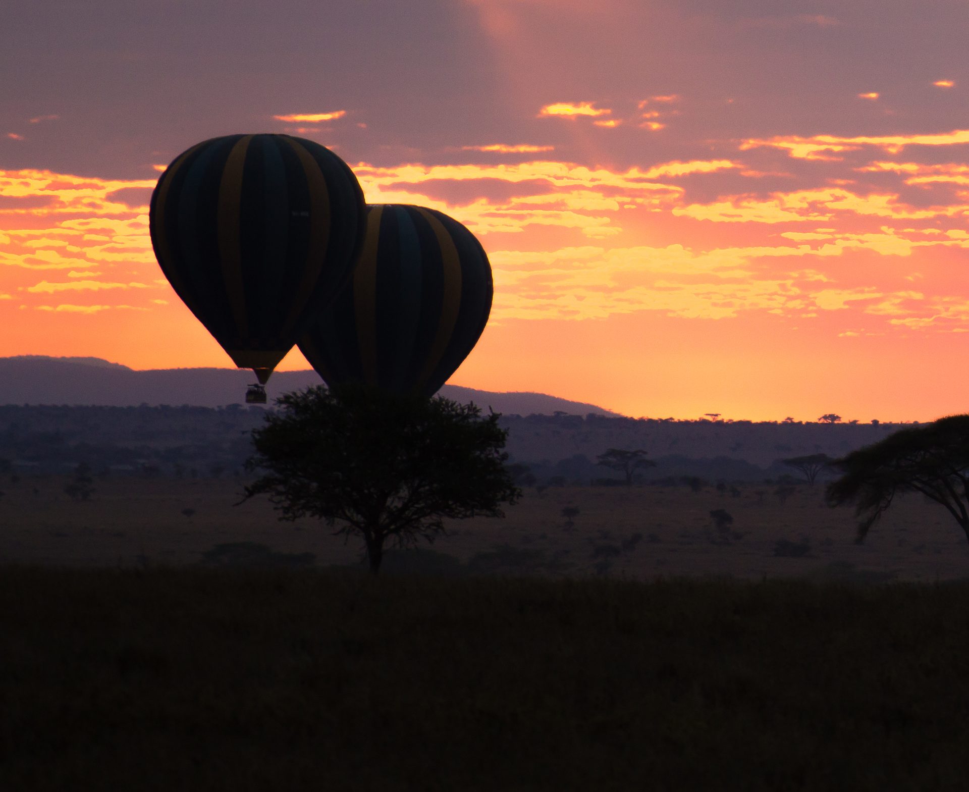 Heißluftballon-Safari bei Sonnenaufgang über der Serengeti – zubuchbares Familienerlebnis