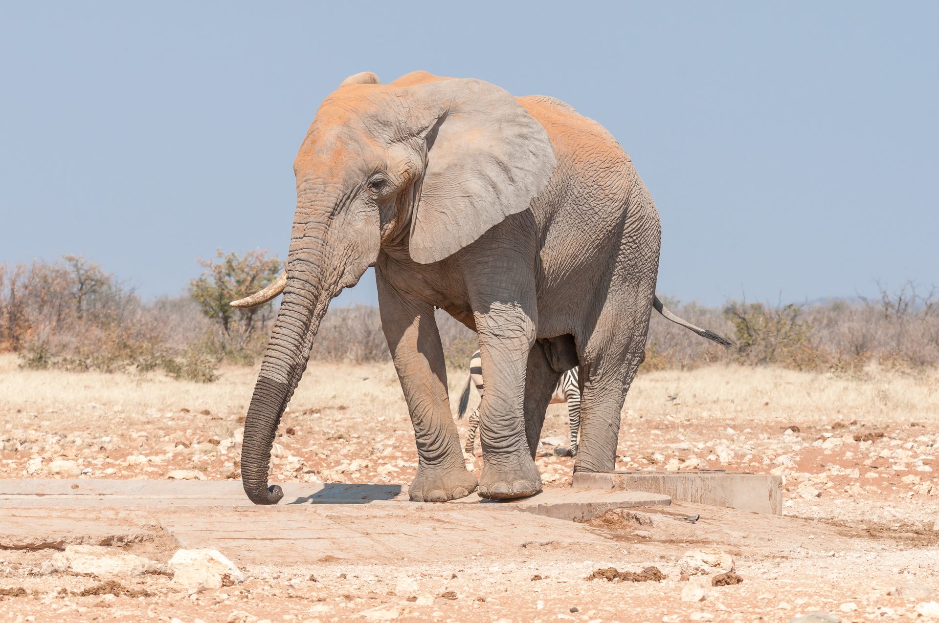 DAMARALAND