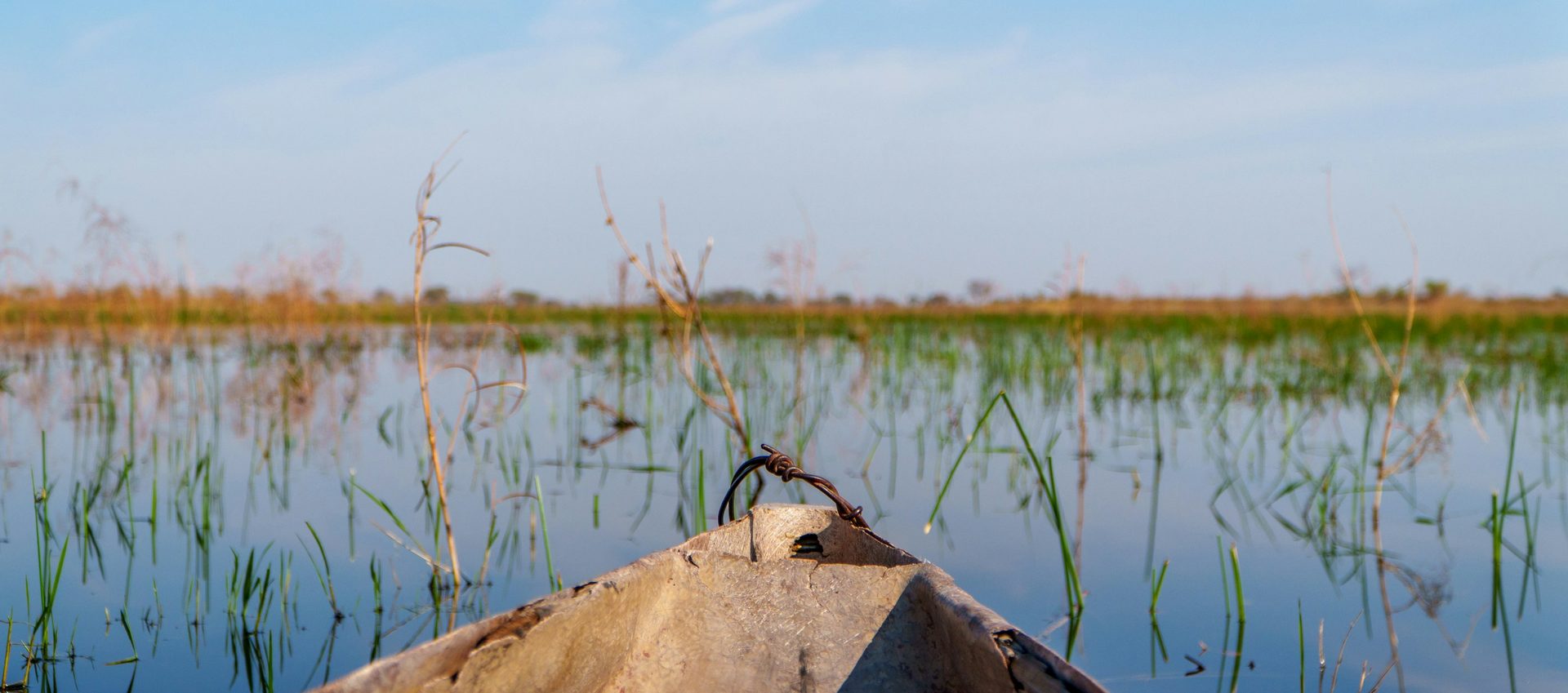 Mokoro-Safari im goldenen Abendlicht durch Papyruskanäle des Okavango-Deltas