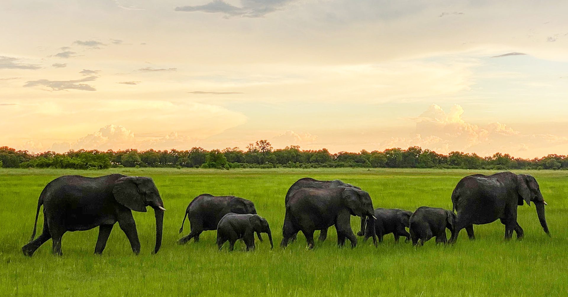 OKAVANGO-DELTA