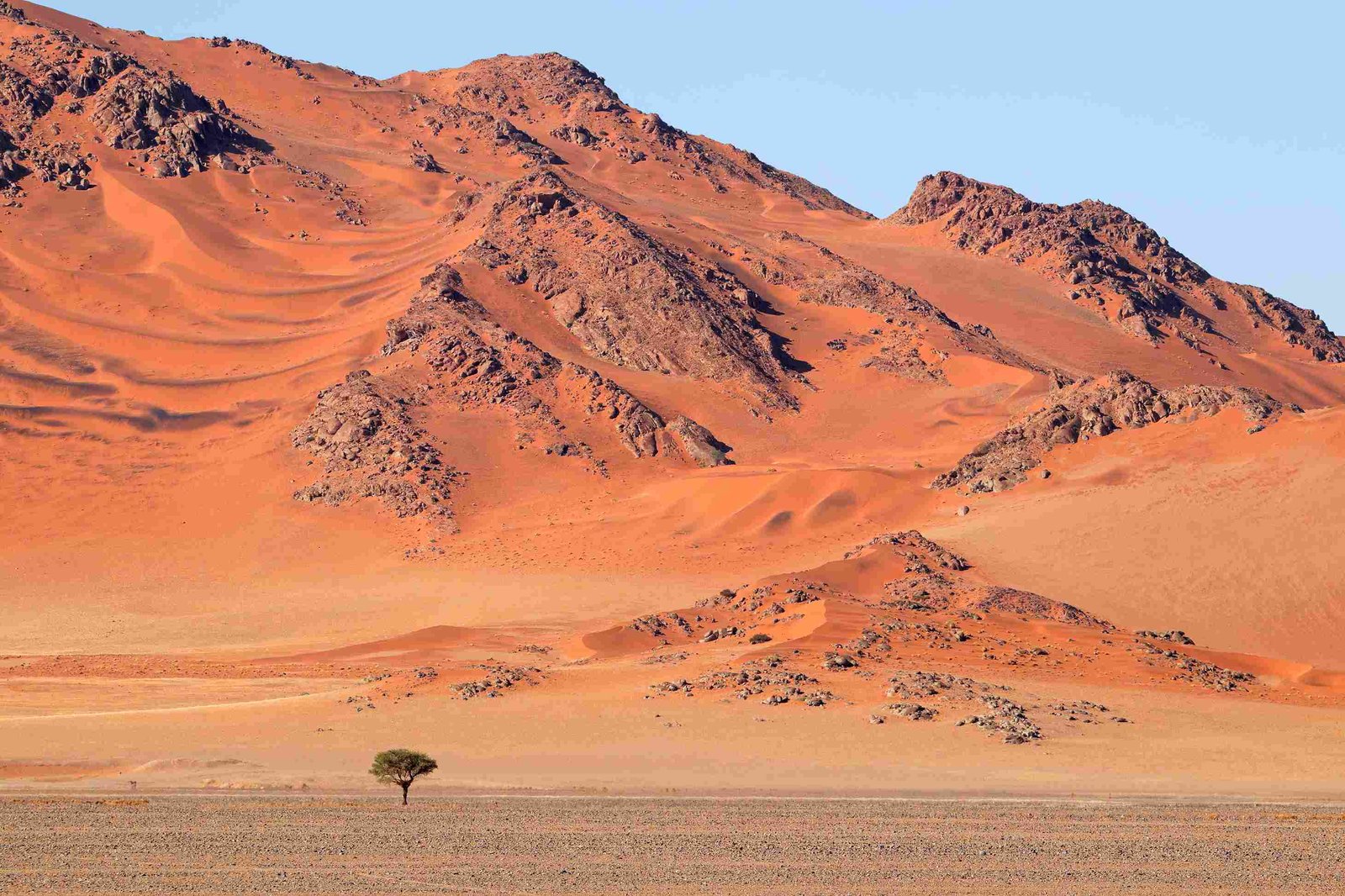 NAMIB-WÜSTE