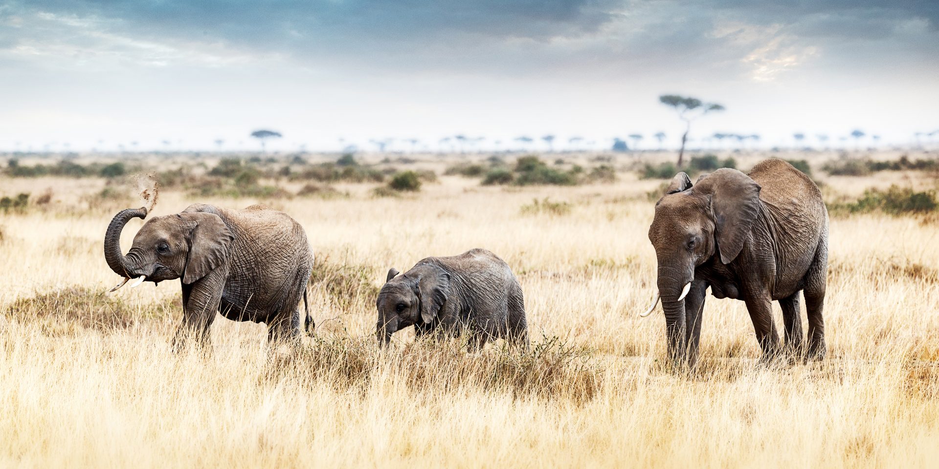 SAFARI IN SÜDOST-KENIA