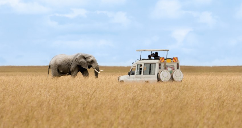 Privates Safari-Fahrzeug in der Serengeti mit Elefant in der Savanne
