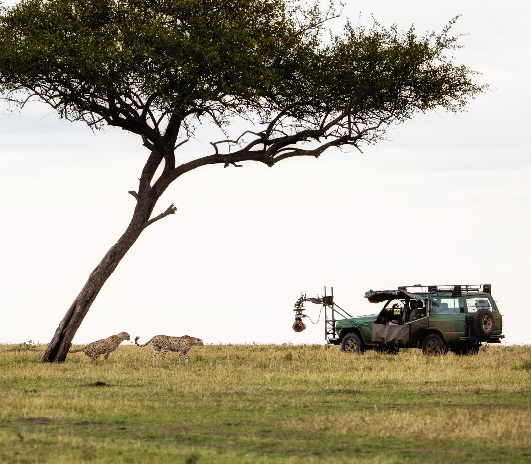 Serengeti Vollpension