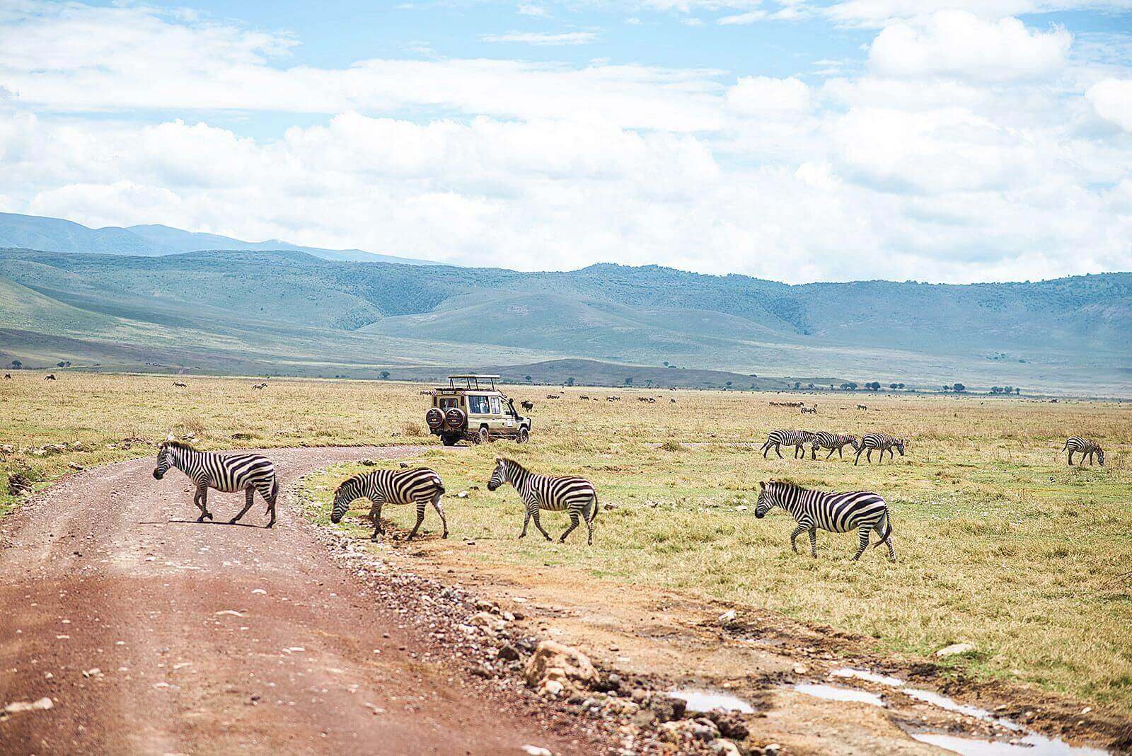 NGORONGORO, KULTUR & ABSCHLUSS