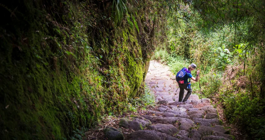 Machame Gate → Machame Camp
