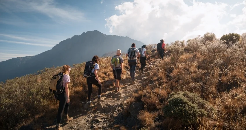 Machame Camp → Shira Camp