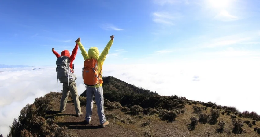 Uhuru Peak (5.895m) → Mweka Camp