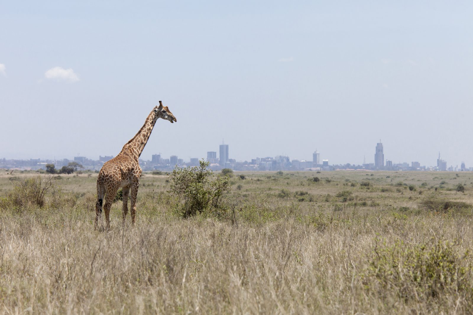 Ankunft in Nairobi