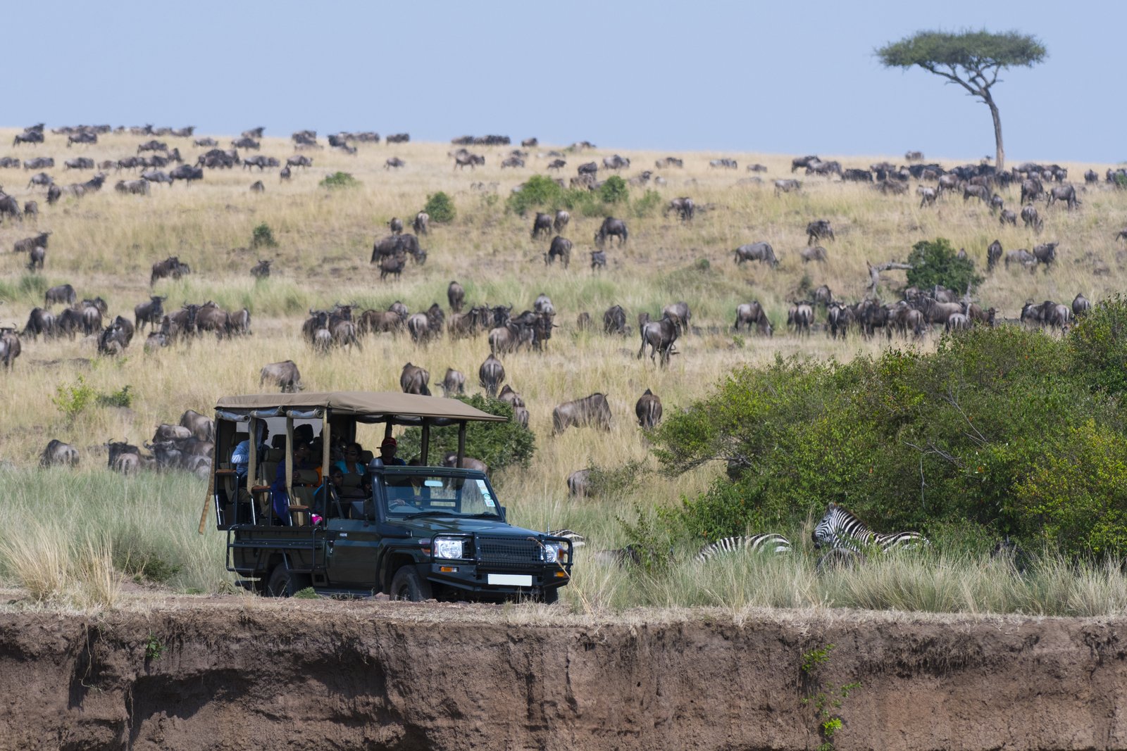 Massai Mara Game Reserve – Angama Mara