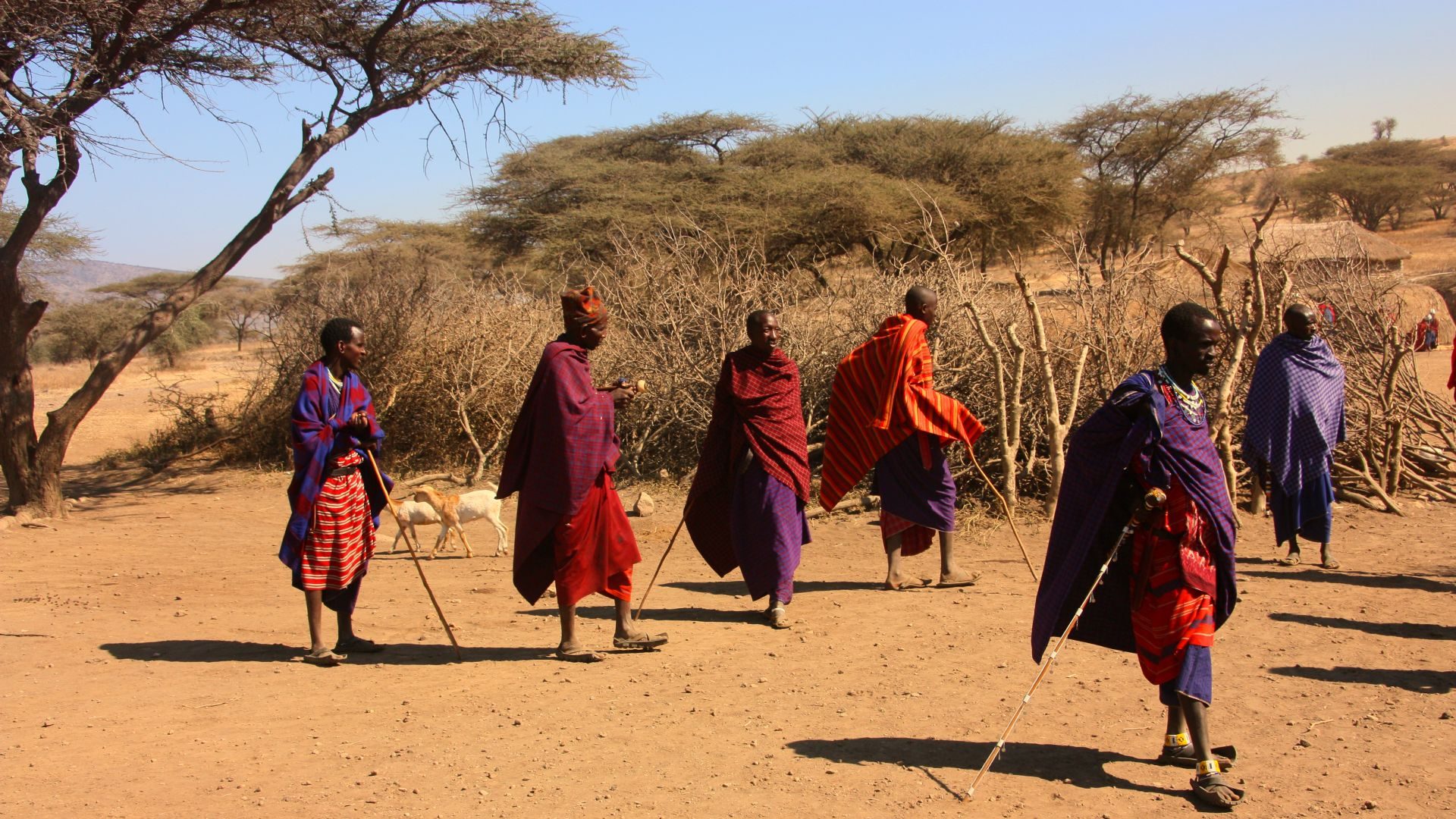 Massai-Dorf & Serengeti