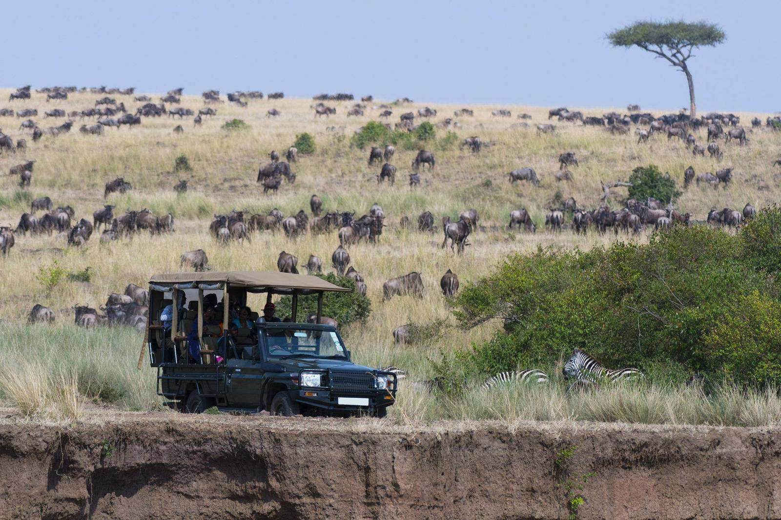SAFARI ABENTEUER