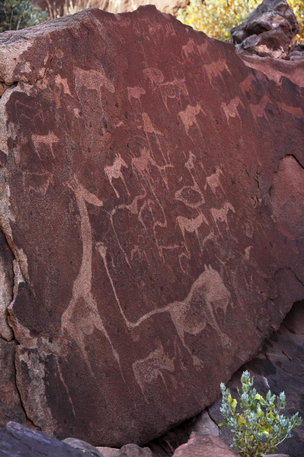 San-Petroglyphen und Felsgravuren im UNESCO-Welterbe Twyfelfontein, Damaraland