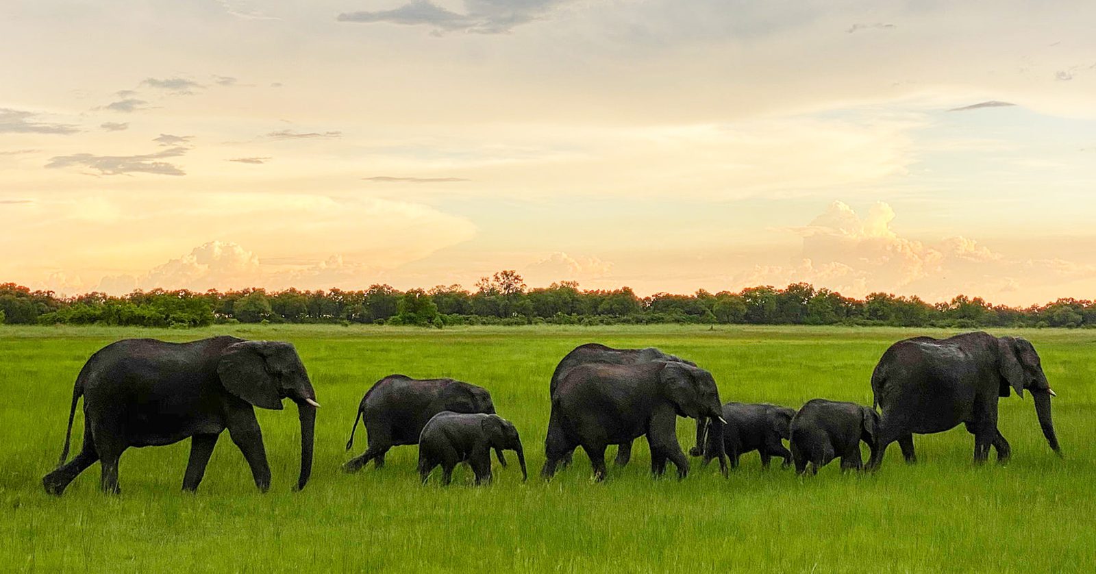 Ankunft in Maun – Gateway ins Delta